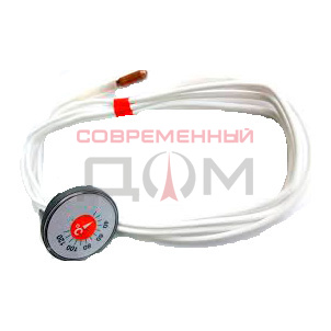VIESSMANN Термометр /7595765/